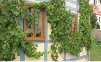 In Der Alten Weinstube Freital Kültér fotó